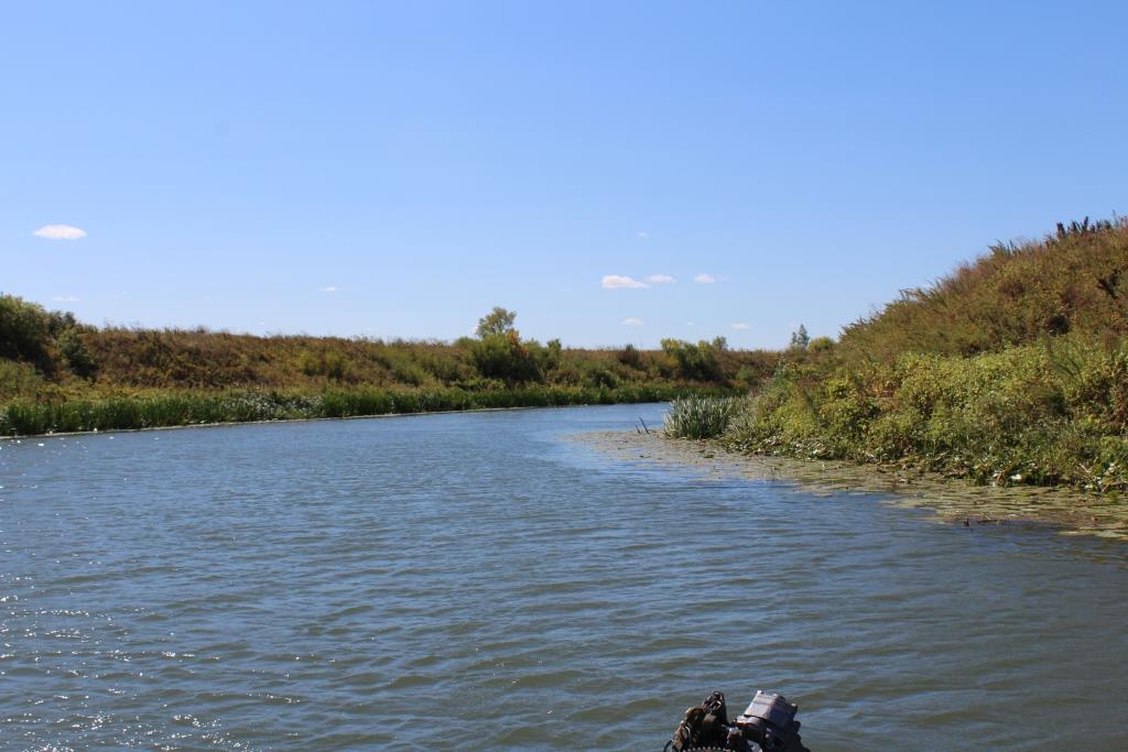 Устье реки дон